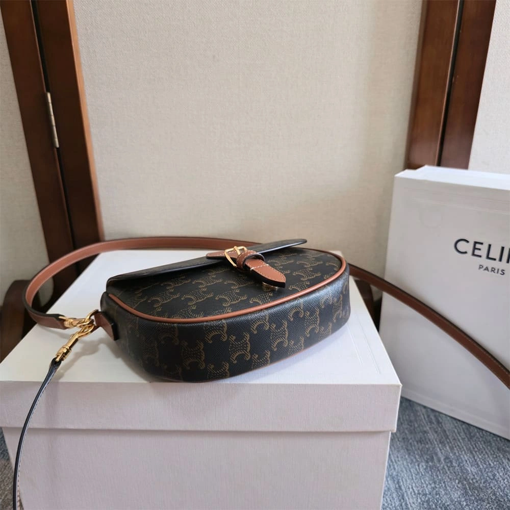Celine SOFT SHOPPER BAG IN Triomphe Canvas and Calfskin MultiPurpose 2513