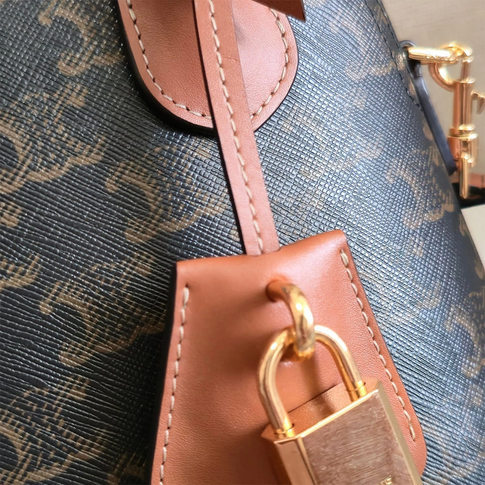 FlexibleFit Celine TEEN HONORINE BAG IN Triomphe Canvas and Calfskin 2505
