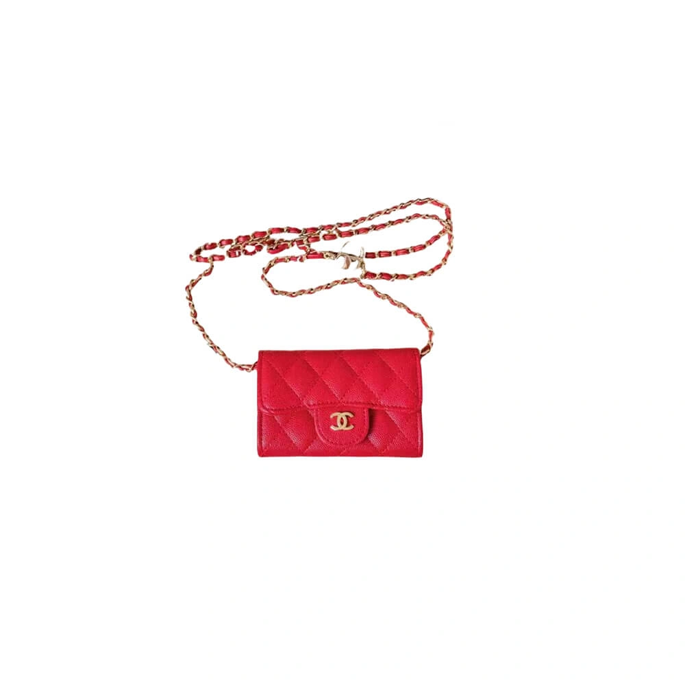 Flexible Chanel Waist bag 1493