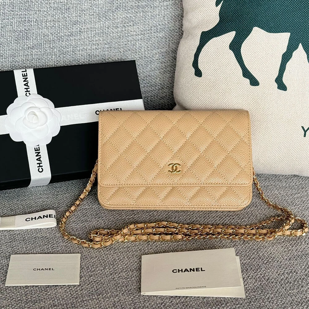 Chanel classic chain wallet ZipUp 1492