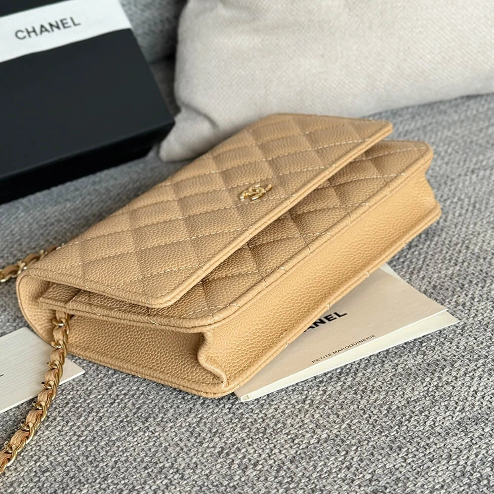 Chanel classic chain wallet ZipUp 1492