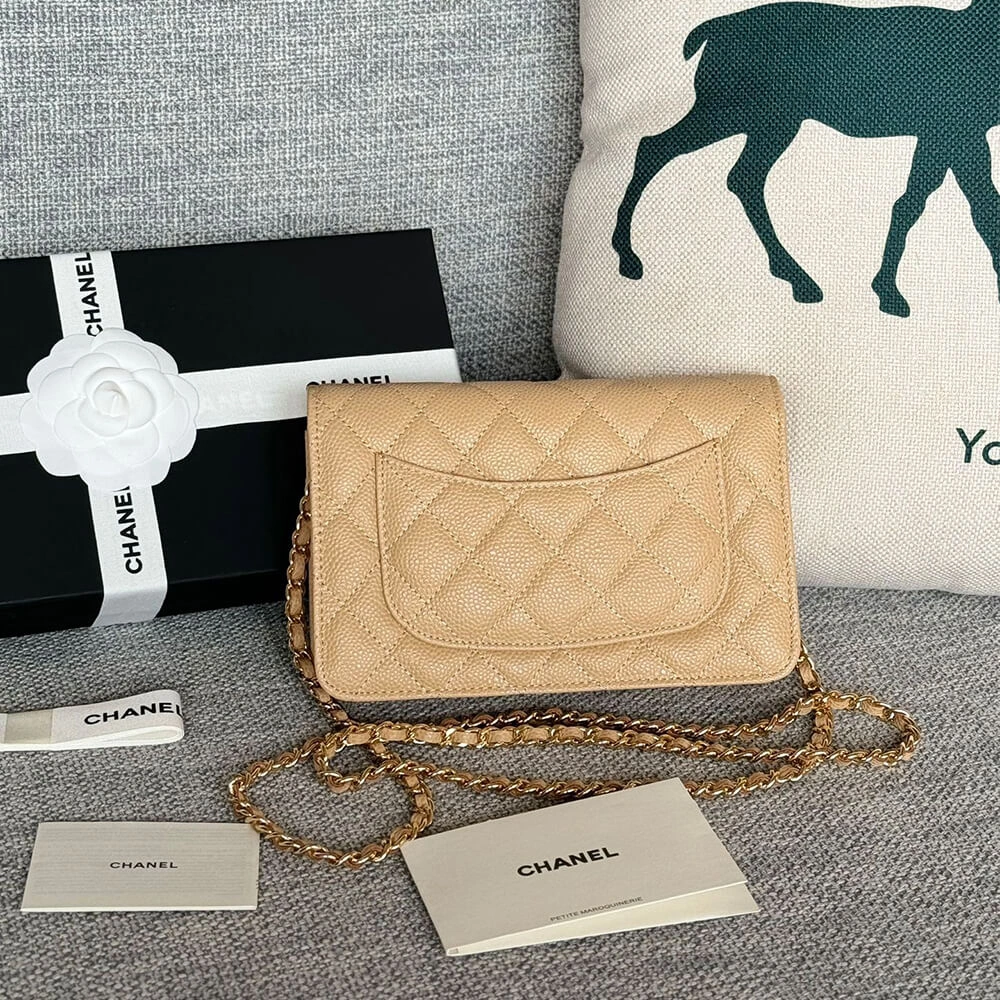 Chanel classic chain wallet ZipUp 1492