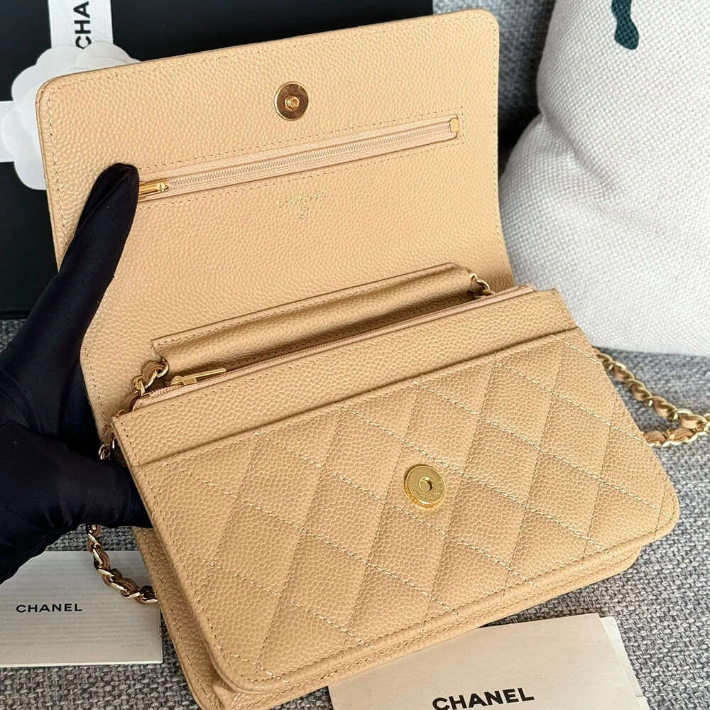 Chanel classic chain wallet ZipUp 1492