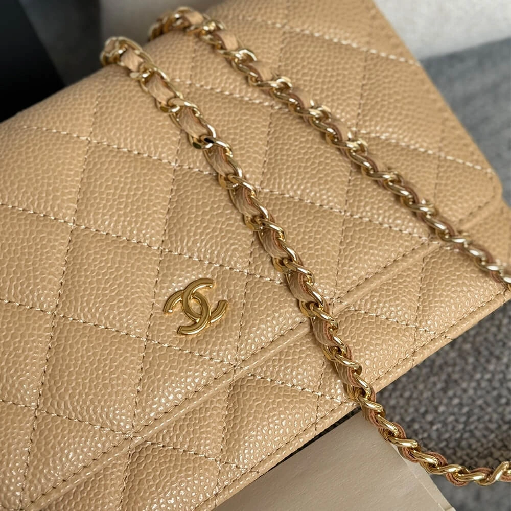 Chanel classic chain wallet ZipUp 1492