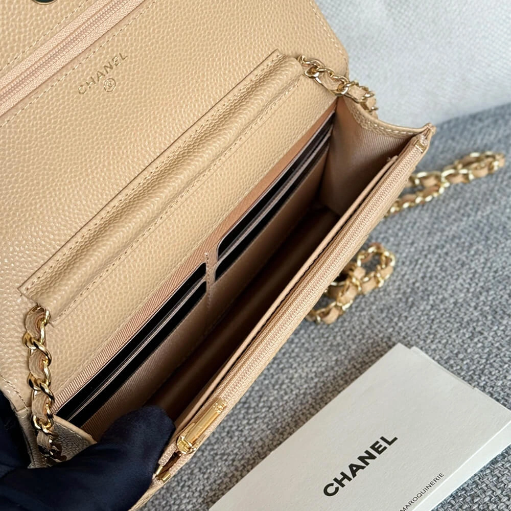Chanel classic chain wallet ZipUp 1492