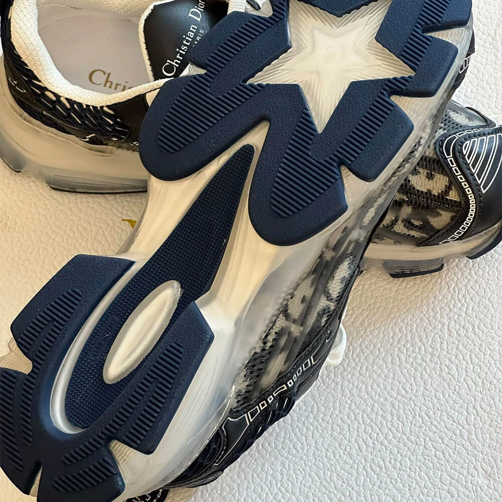 EyeCatching Christian Dior Vibe Sneaker 3313