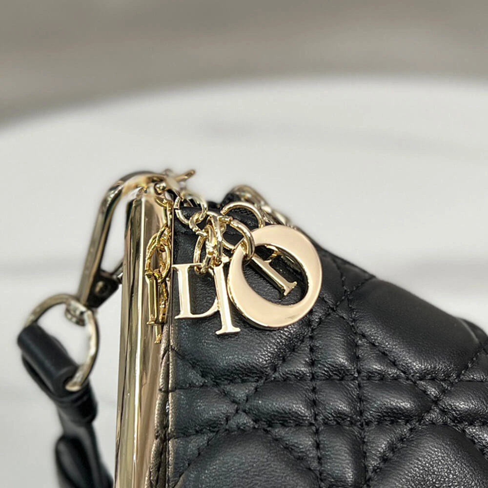 Thermal DIOR CLUB BAG 2325