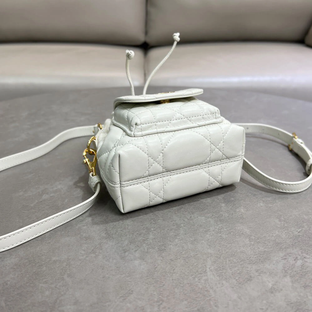 Dior Caro Nano Bucket Bag(HIGH-END GRADE) Refined 2220