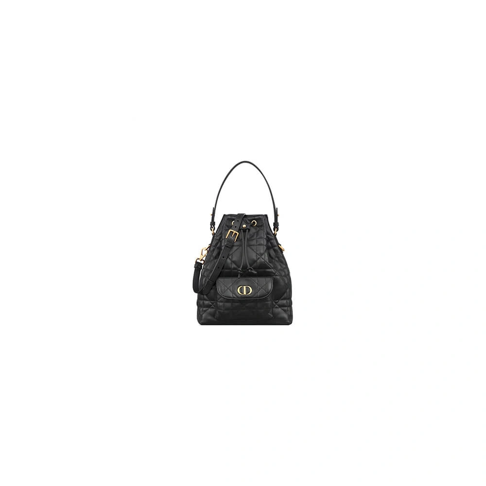 Dior Caro Small Bucket Bag Elegant 2157