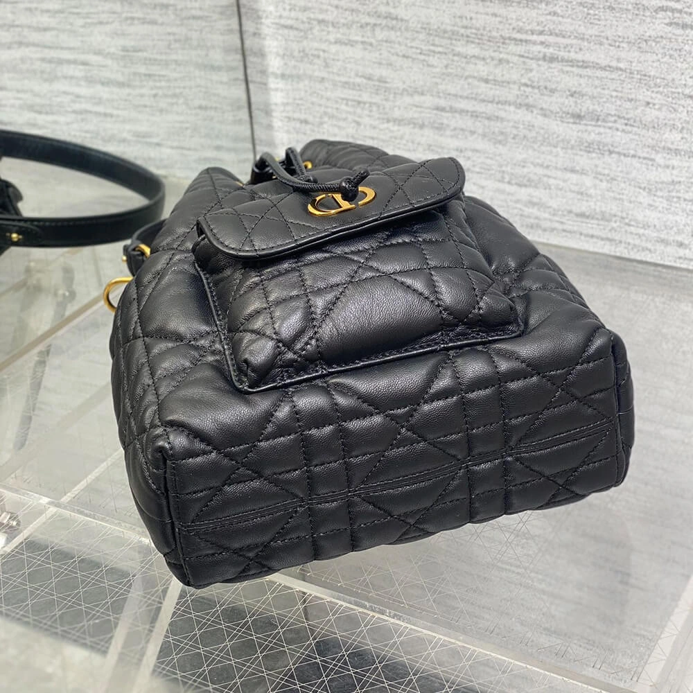 Dior Caro Small Bucket Bag Elegant 2157