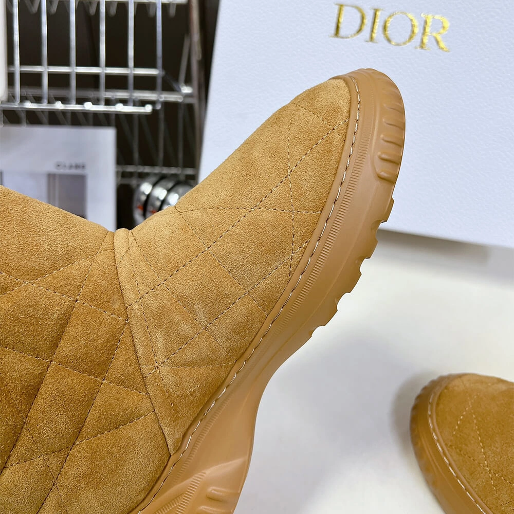 Dior Frost Ankle Boot Efficient 3325