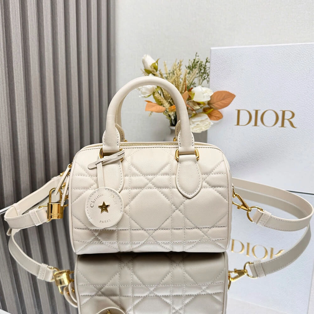 Dior Groove 20 Bag(HIGH-END GRADE) Original 2206