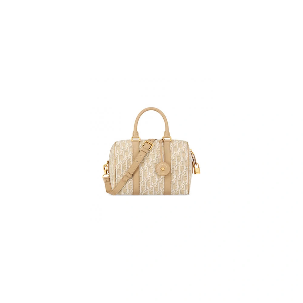 WellDesigned Dior Groove 25 Bag(HIGH-END GRADE) 2261