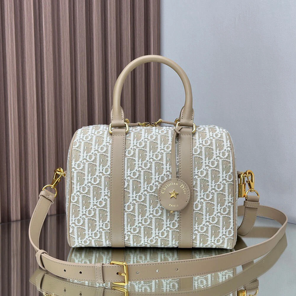 WellDesigned Dior Groove 25 Bag(HIGH-END GRADE) 2261