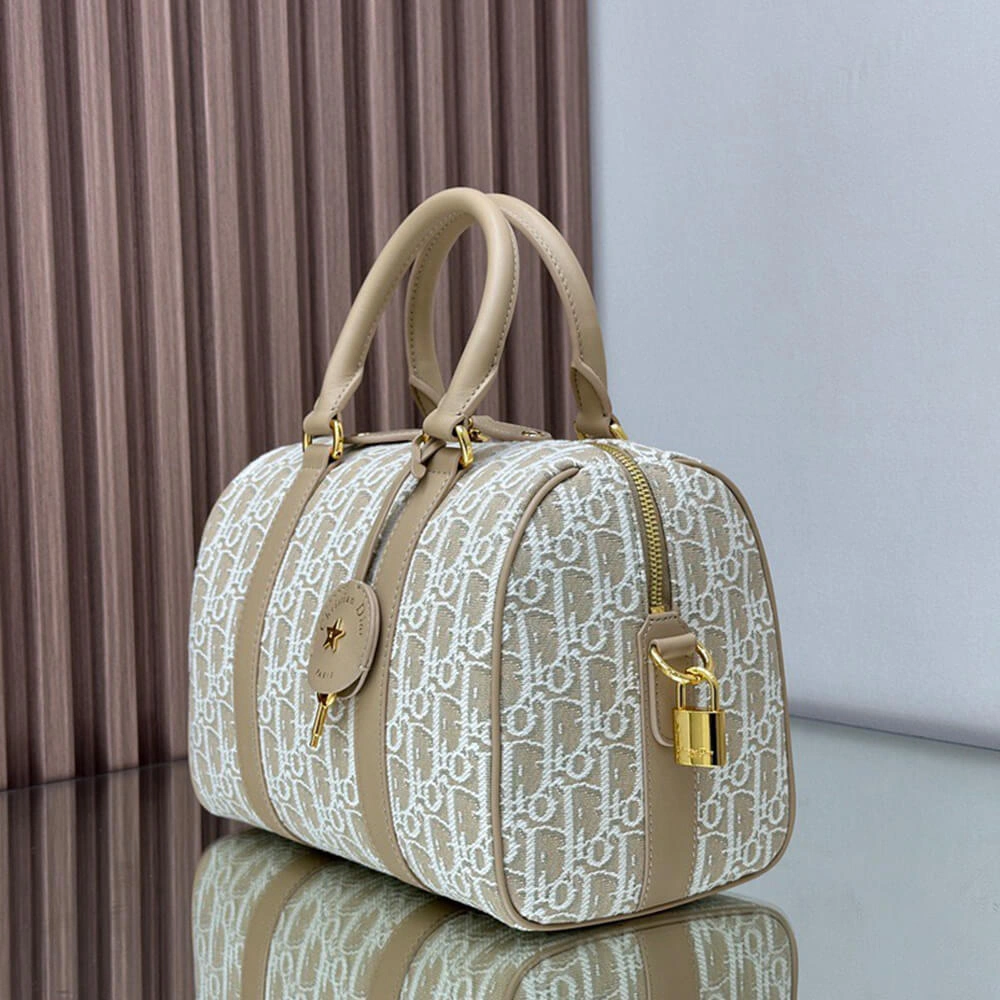 WellDesigned Dior Groove 25 Bag(HIGH-END GRADE) 2261