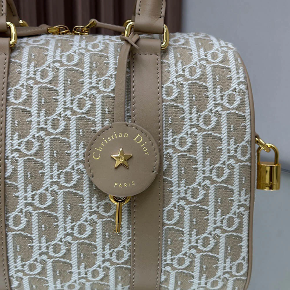 WellDesigned Dior Groove 25 Bag(HIGH-END GRADE) 2261
