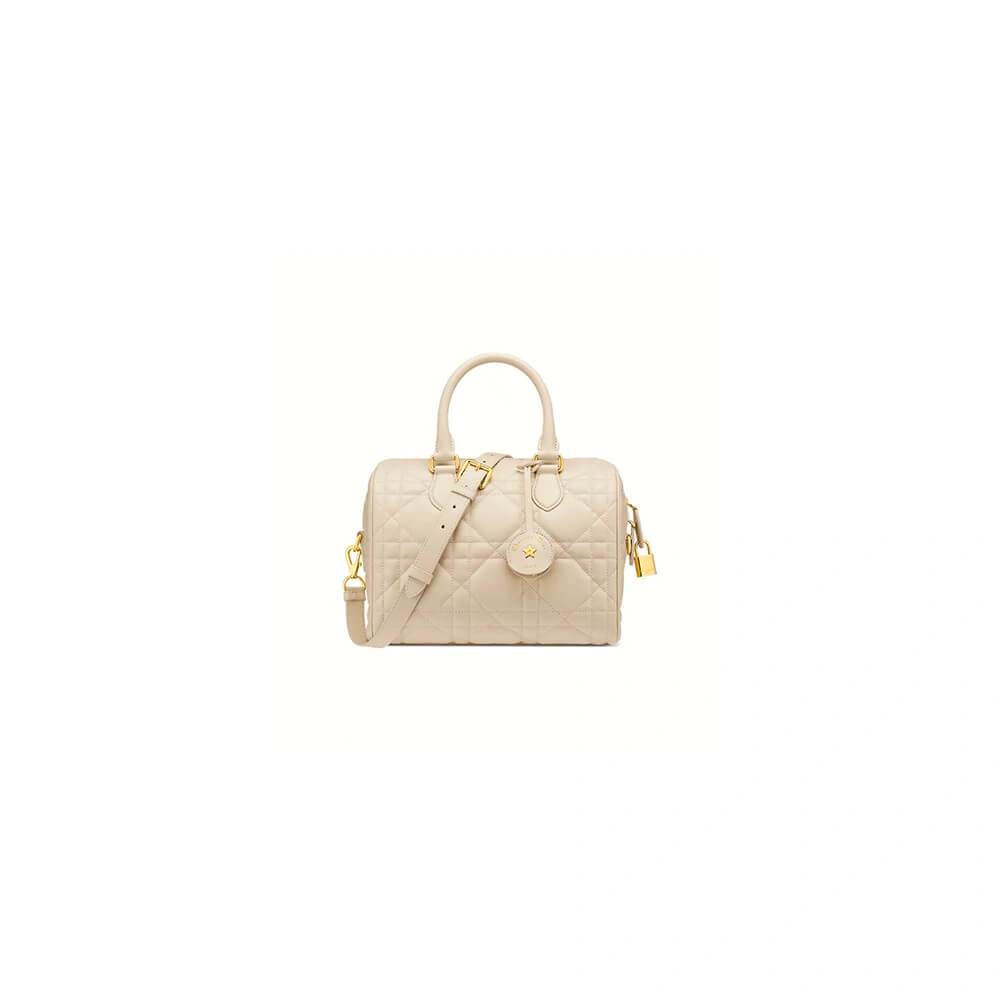 Neat Dior Groove 25 Bag(high-end grade) 2234