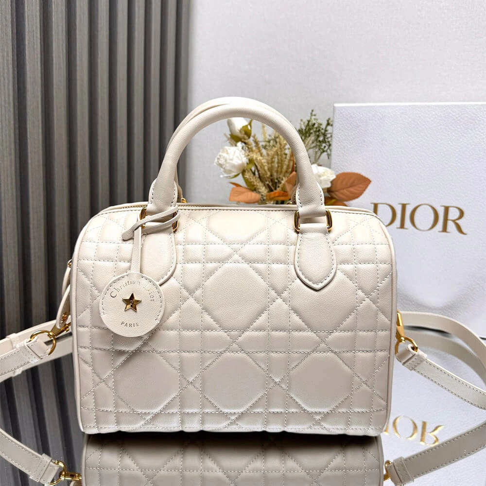 Neat Dior Groove 25 Bag(high-end grade) 2234