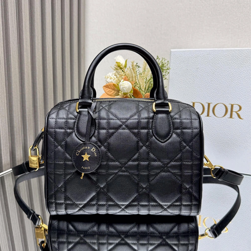Dior Groove 25 Bag(high-end grade) Chic 2229