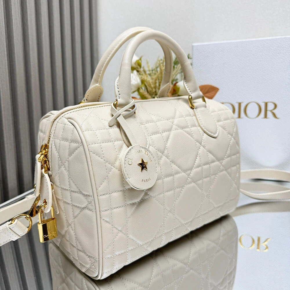 Neat Dior Groove 25 Bag(high-end grade) 2234