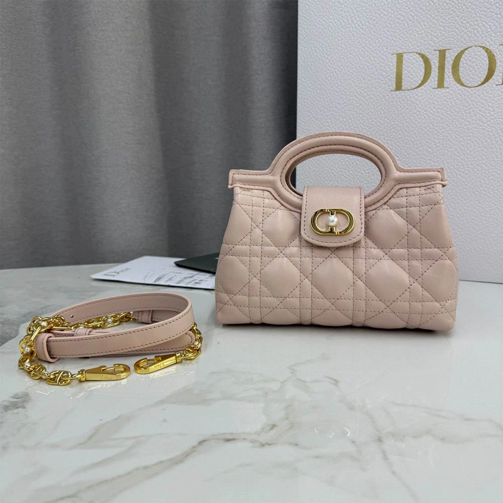 Resilient Dior Jolie Top Handle Mini Bag 2088