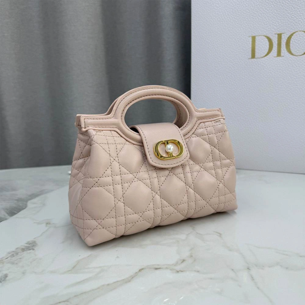Resilient Dior Jolie Top Handle Mini Bag 2088
