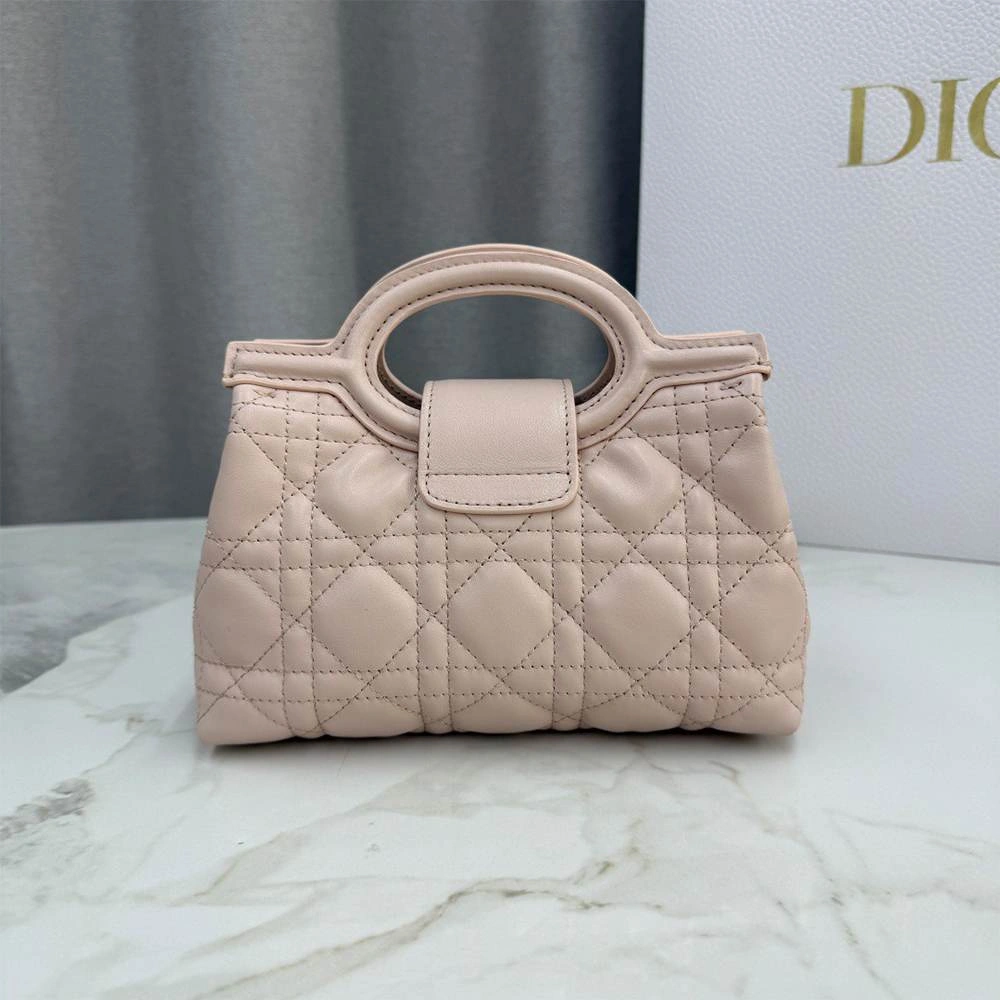 Resilient Dior Jolie Top Handle Mini Bag 2088