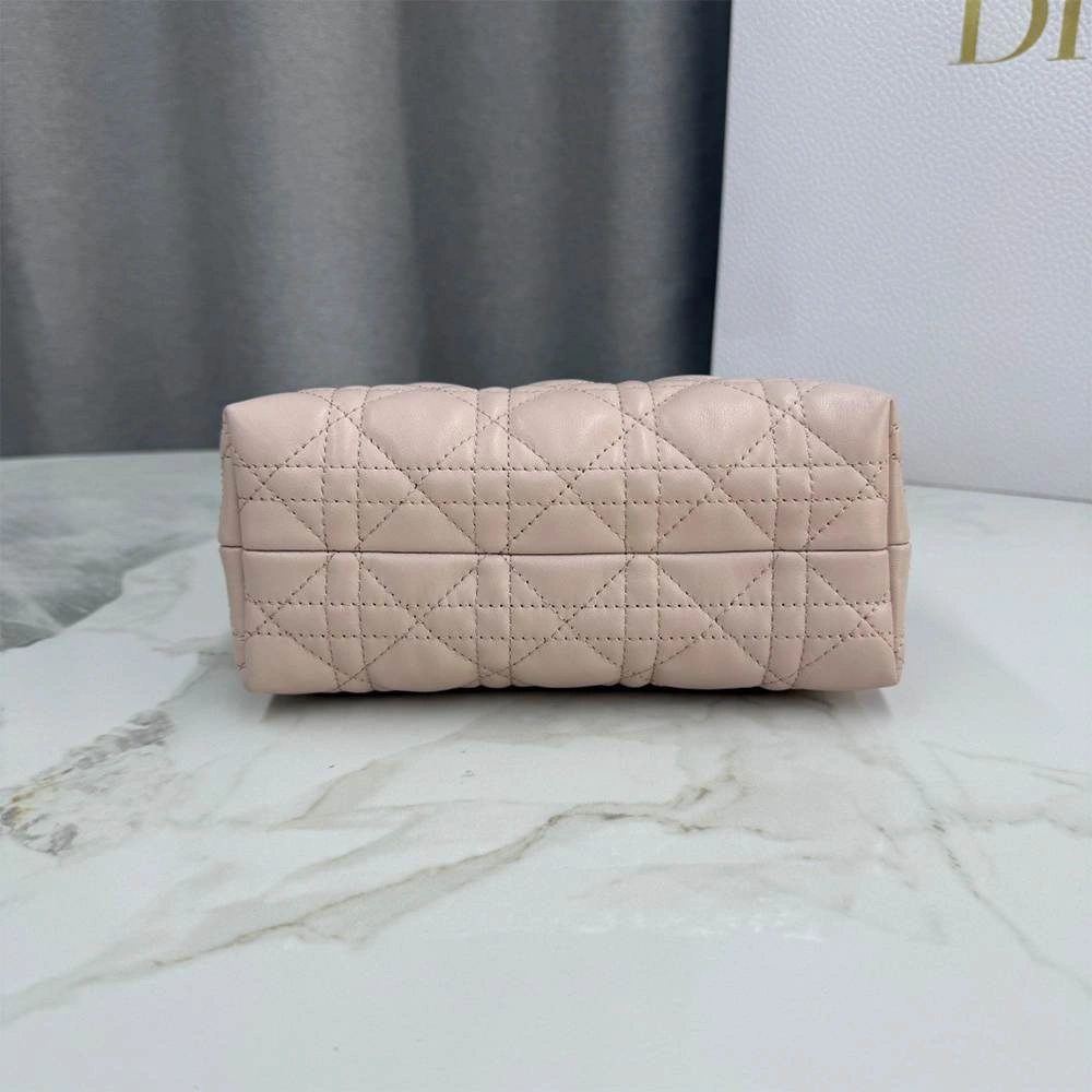 Resilient Dior Jolie Top Handle Mini Bag 2088