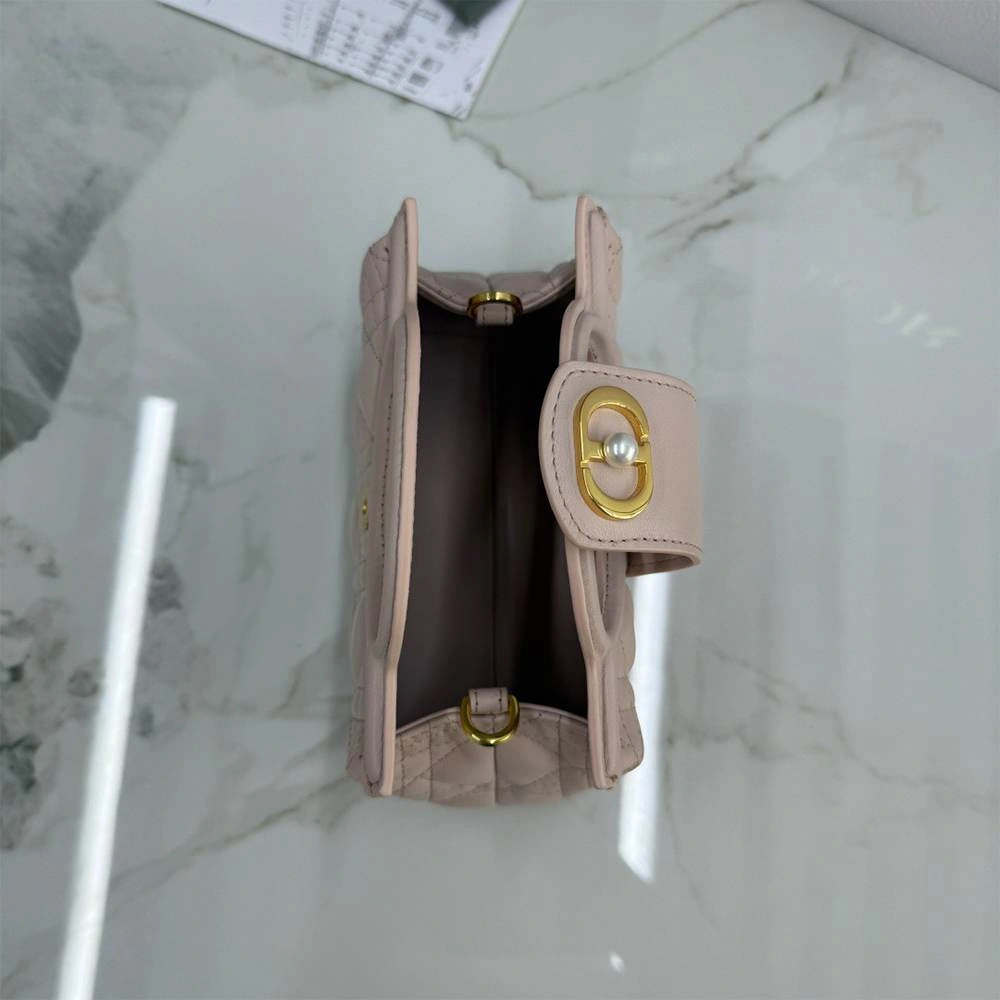 Resilient Dior Jolie Top Handle Mini Bag 2088