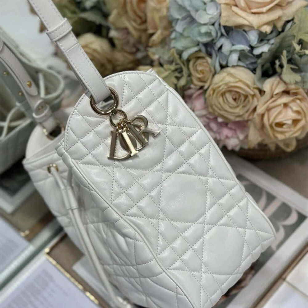 TimelessDesign Dior Medium D-Motion Bag(HIGH-END GRADE) 2046