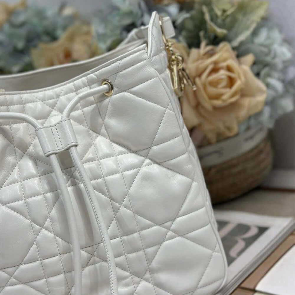 TimelessDesign Dior Medium D-Motion Bag(HIGH-END GRADE) 2046