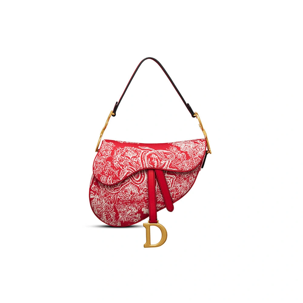 Dior SADDLE BAG FastDry 2428