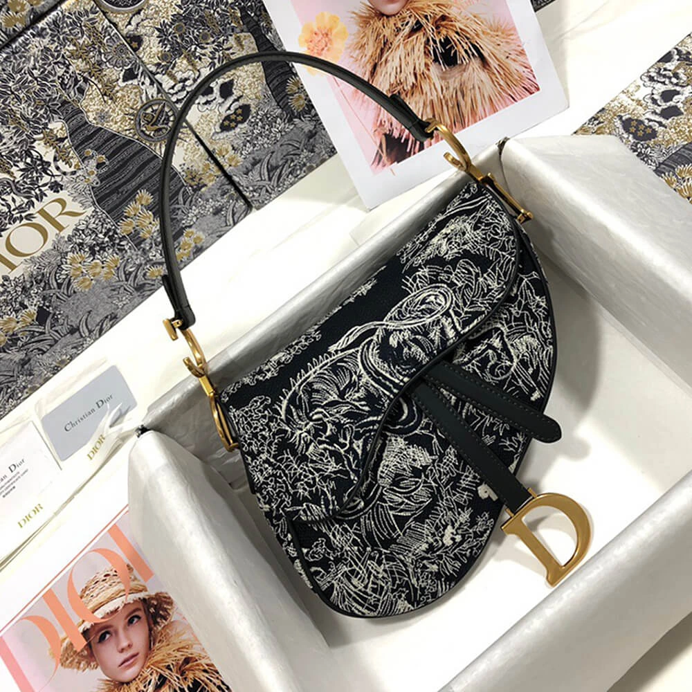 Dior SADDLE BAG Chic 2453