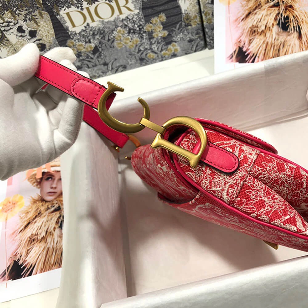 Dior SADDLE BAG FastDry 2428