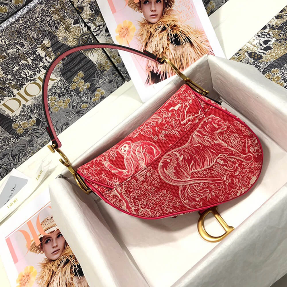 Dior SADDLE BAG FastDry 2428