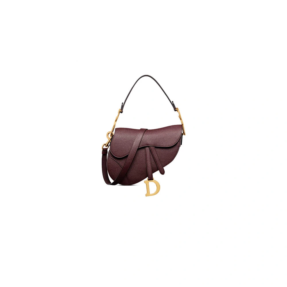 Dior Saddle Bag with Strap Resilient 2085