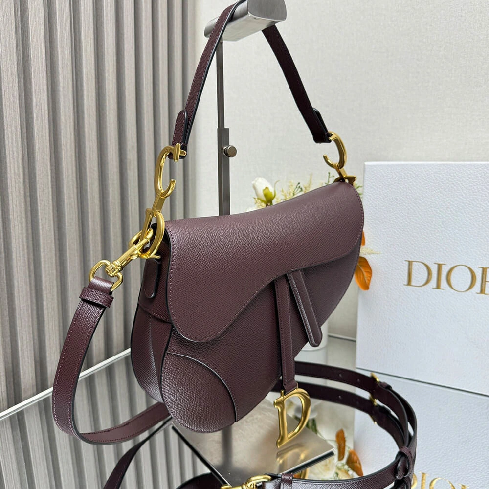 Dior Saddle Bag with Strap Resilient 2085