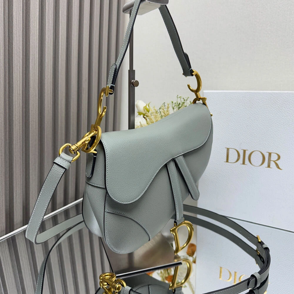 Cozy Dior Saddle Bag with Strap 2099
