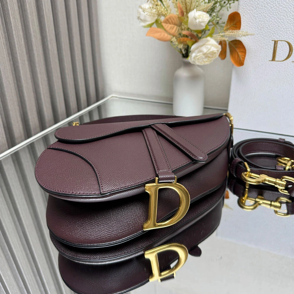 Dior Saddle Bag with Strap Resilient 2085