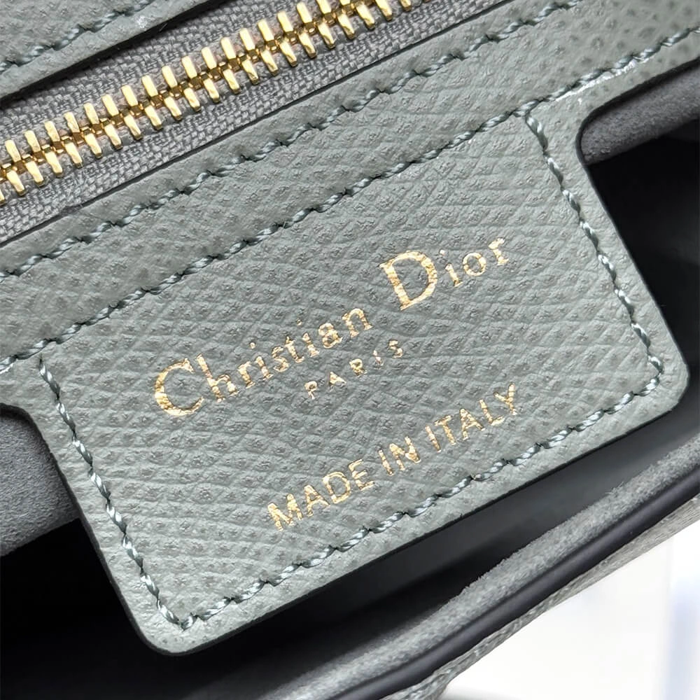 Cozy Dior Saddle Bag with Strap 2099