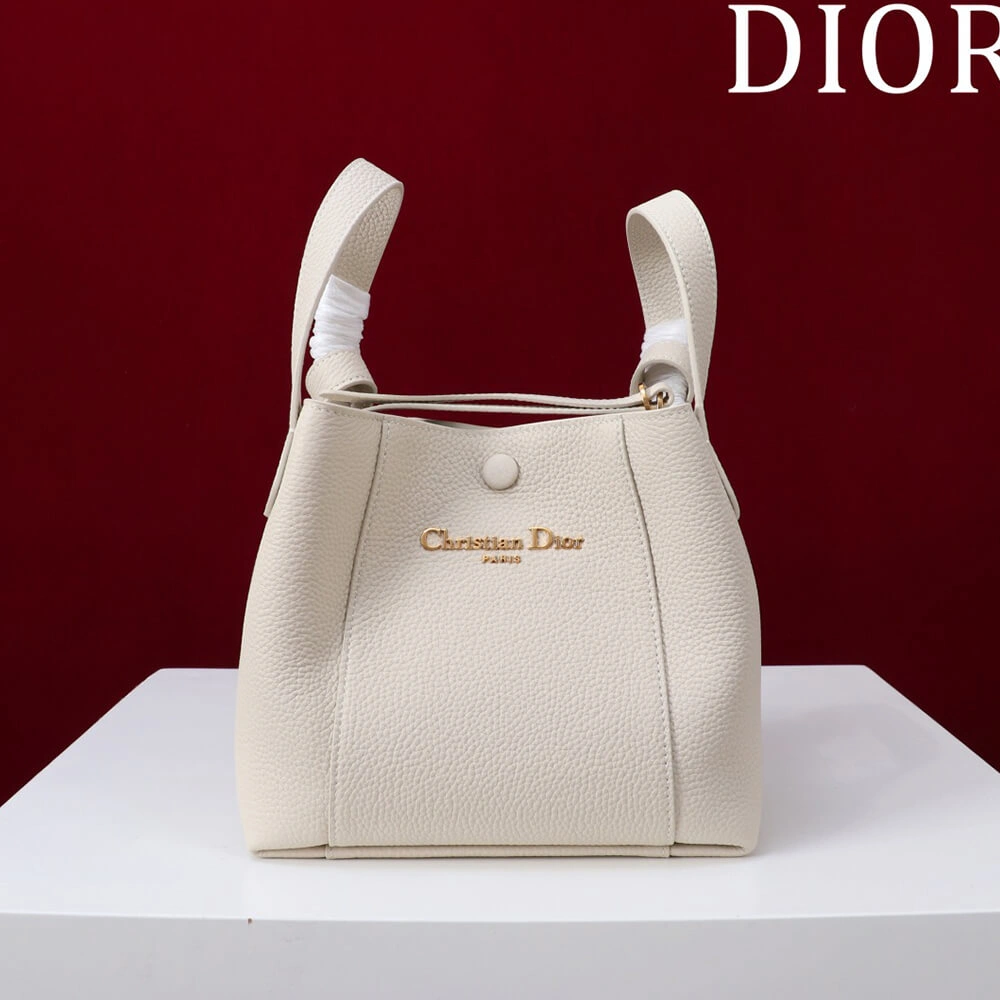 WeatherProof Dior Small Signature Bucket Bag 2141