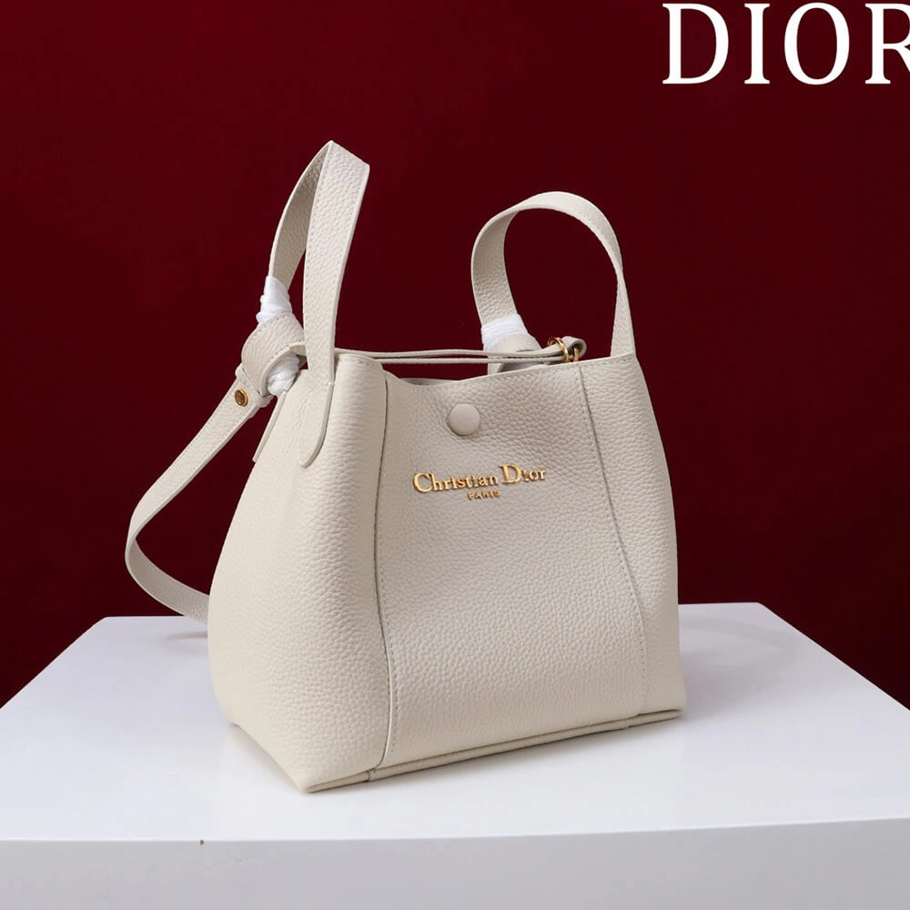 WeatherProof Dior Small Signature Bucket Bag 2141
