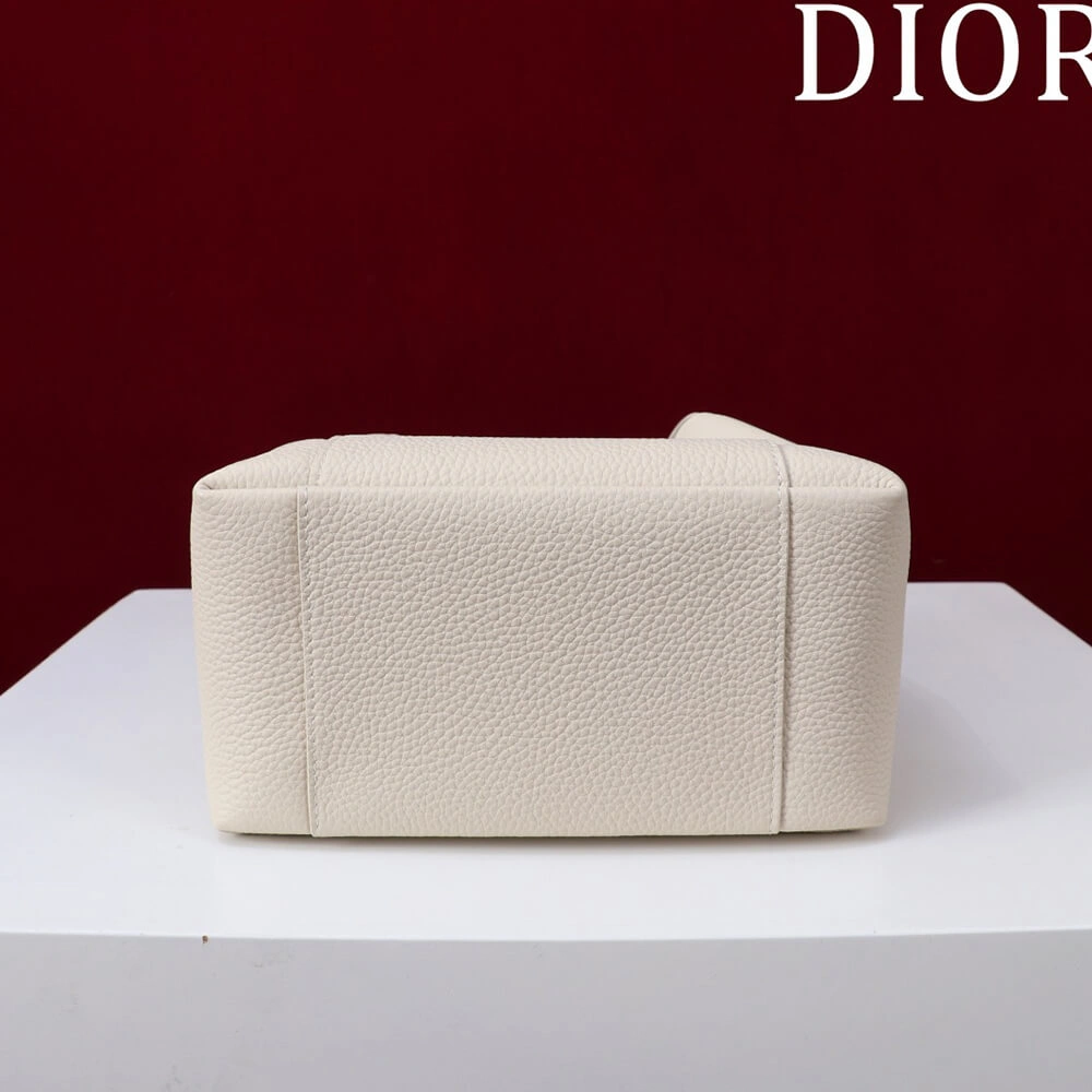 WeatherProof Dior Small Signature Bucket Bag 2141