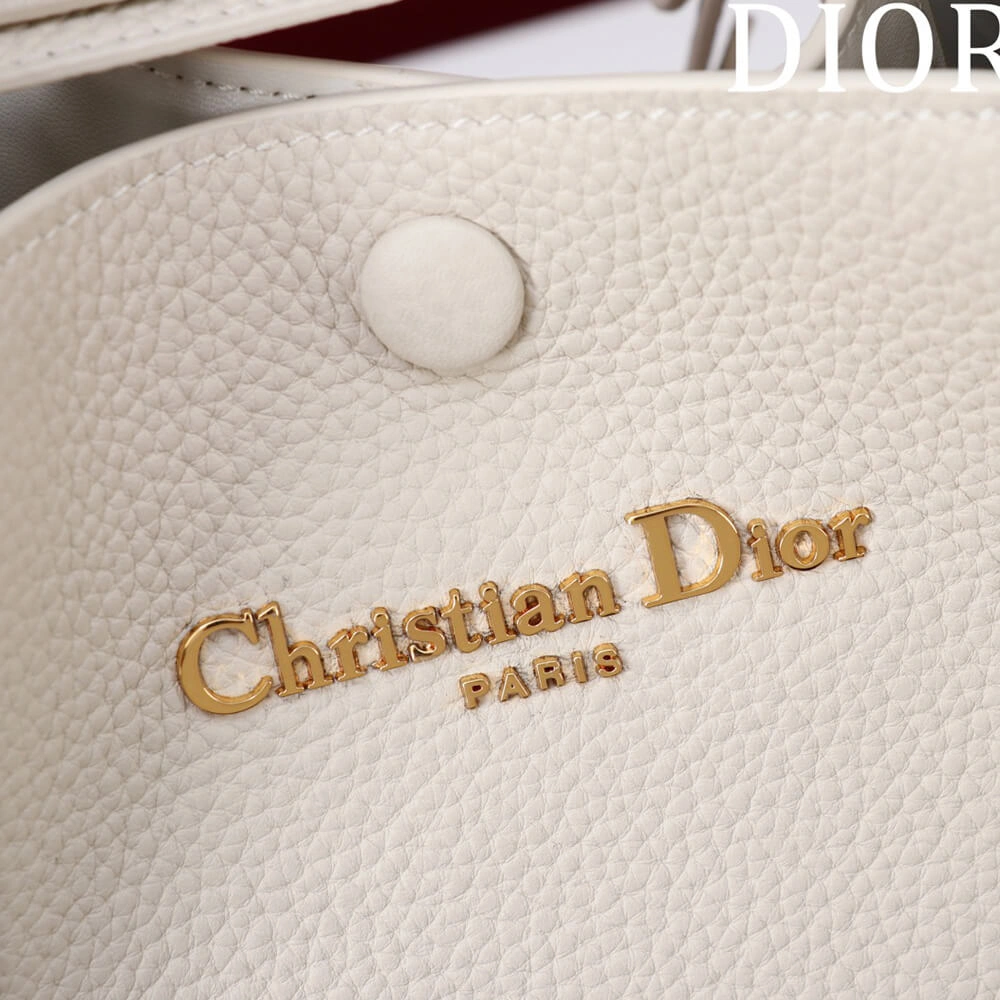 WeatherProof Dior Small Signature Bucket Bag 2141