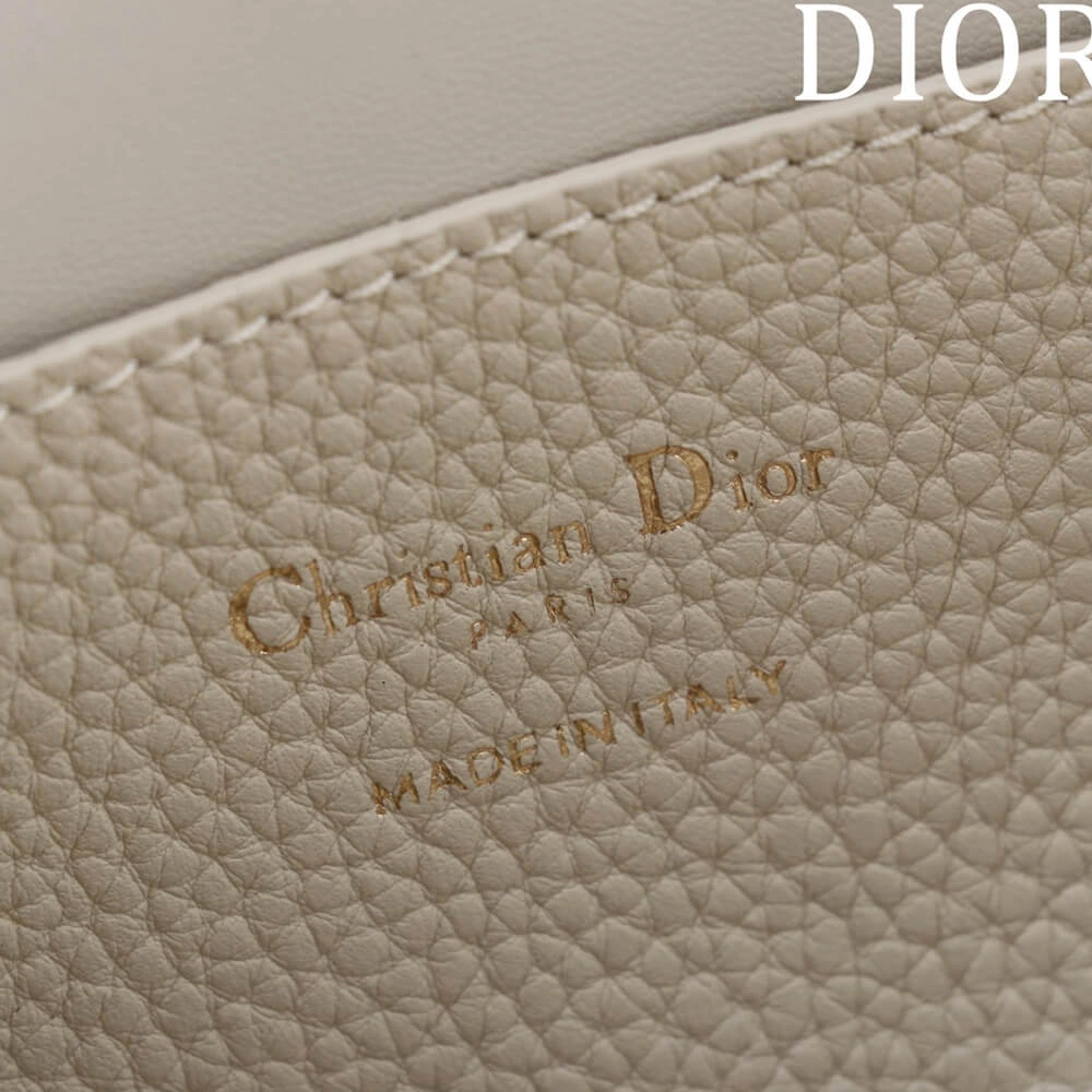 WeatherProof Dior Small Signature Bucket Bag 2141