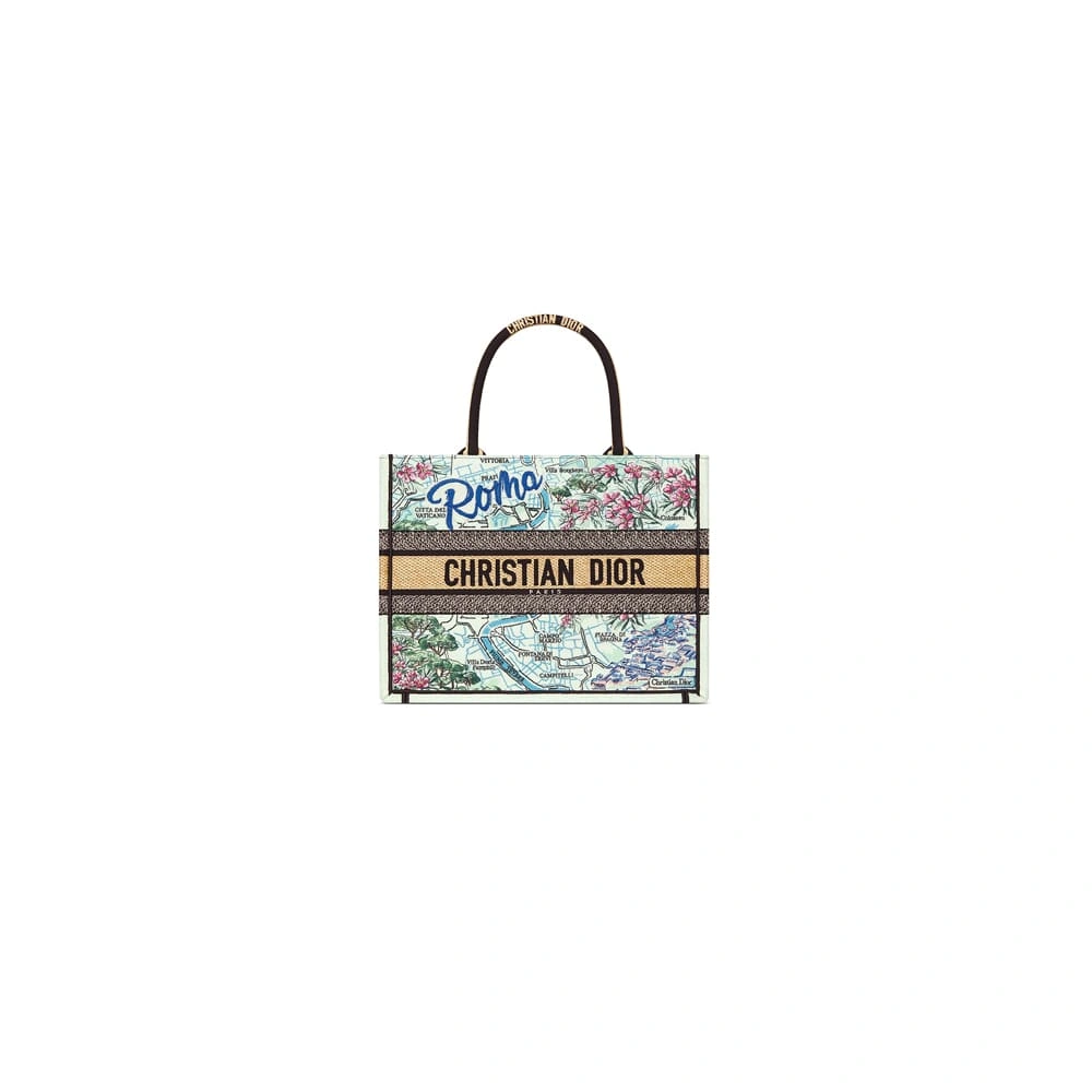 Dior Souvenir Medium Dior Book Tote Durable 2110