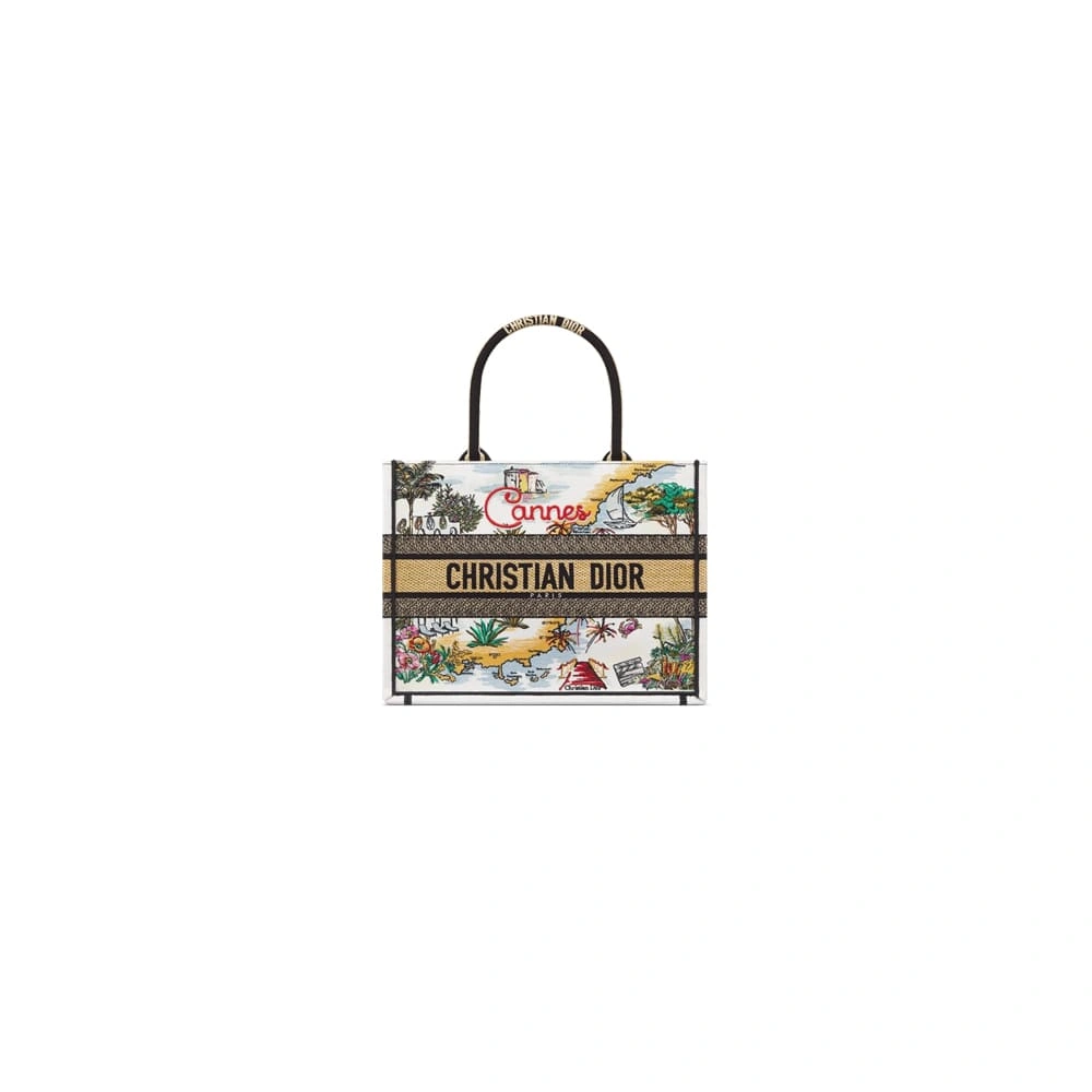 Dior Souvenir Medium Dior Book Tote Upgraded 2058
