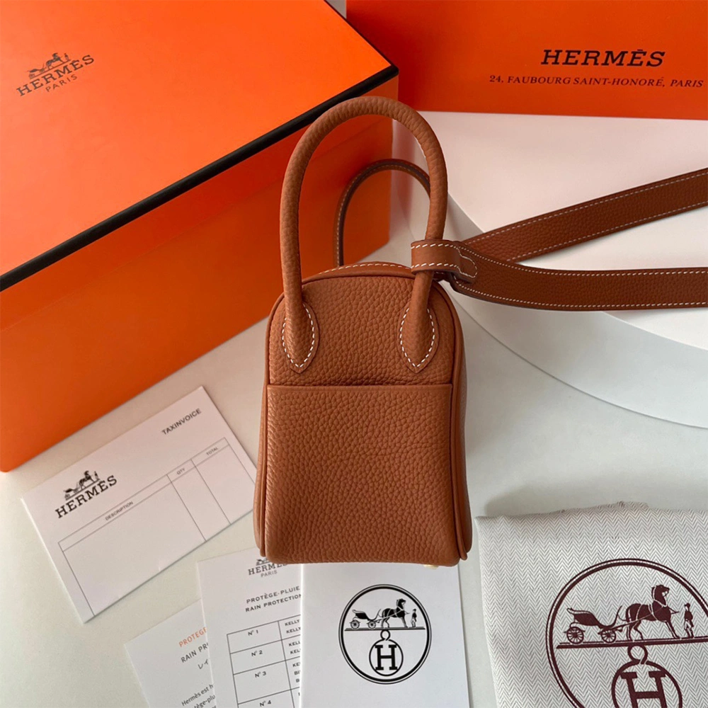 DailyWear Hermes Lindy Mini Bag 1717