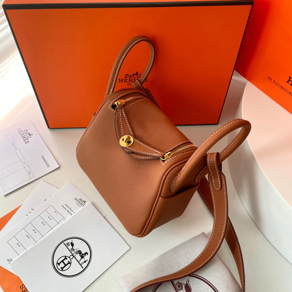 DailyWear Hermes Lindy Mini Bag 1717