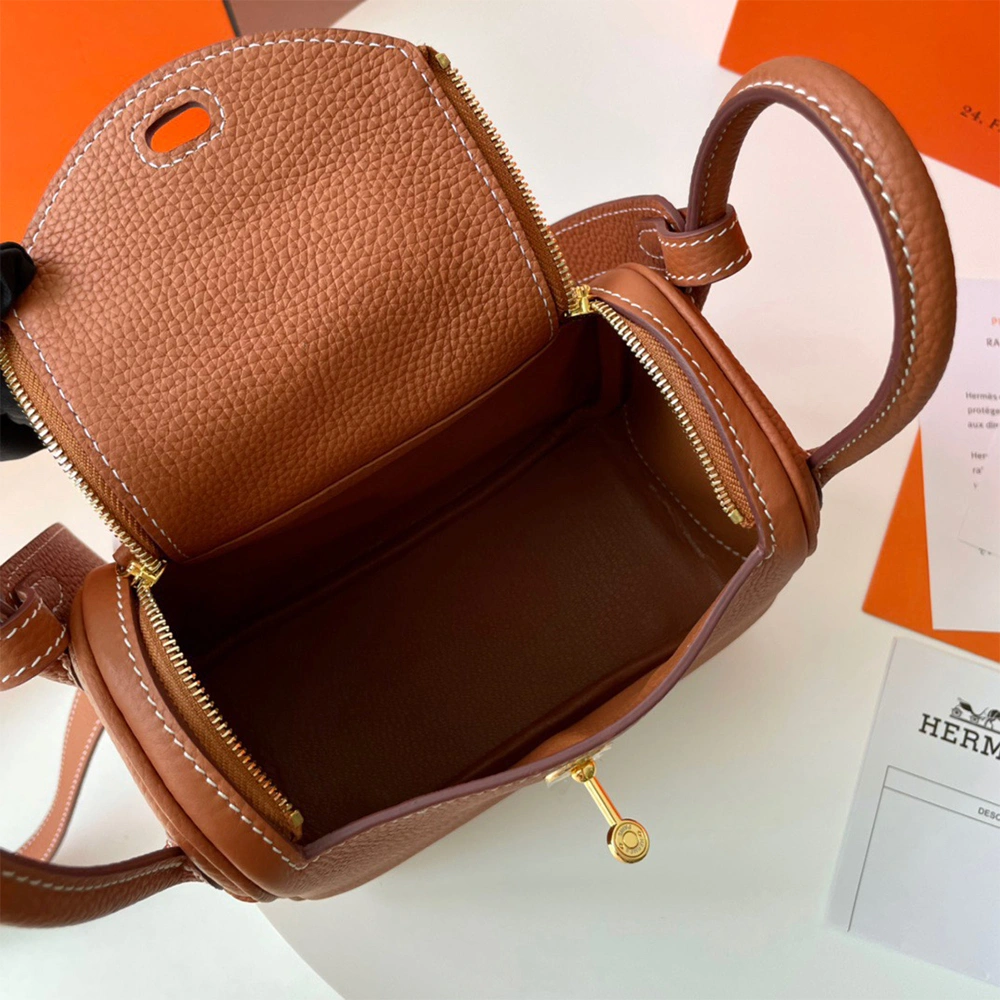 DailyWear Hermes Lindy Mini Bag 1717